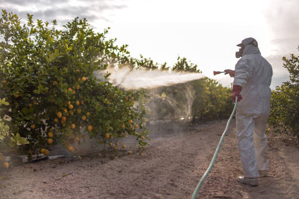 Pest Control for Restaurants in Lewisville, WA